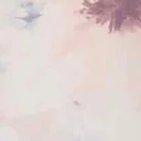 Girls 7-16 Floral Stone Illusion Sleeve Dress