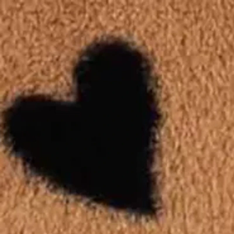 Girls 7-16 Heart Printed Top