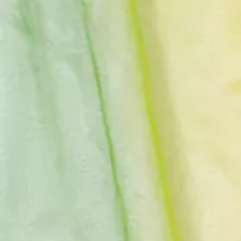 Girls 4-8 Multi Princess Nightgown