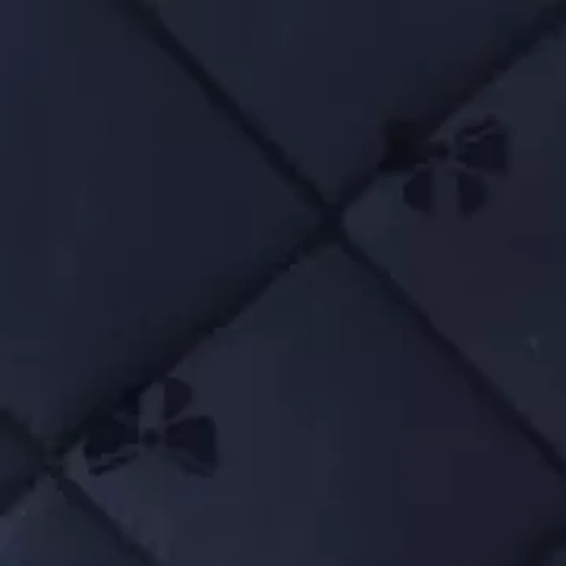 Girls 4-6x Quilted Barn Jacket