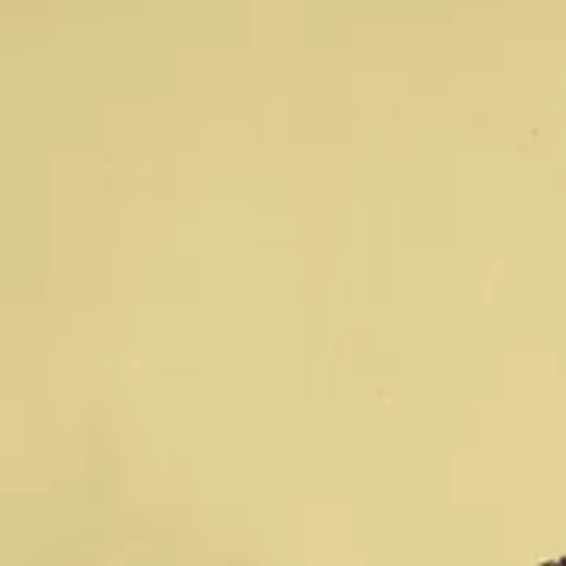 Girls 7-16 Hawaii Oversized Boyfriend Crew Neck Graphic T-Shirt