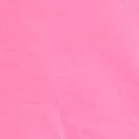 Girls 4-6 2-Piece Short Sleeve Back Pleated T-Shirt & Mesh Set