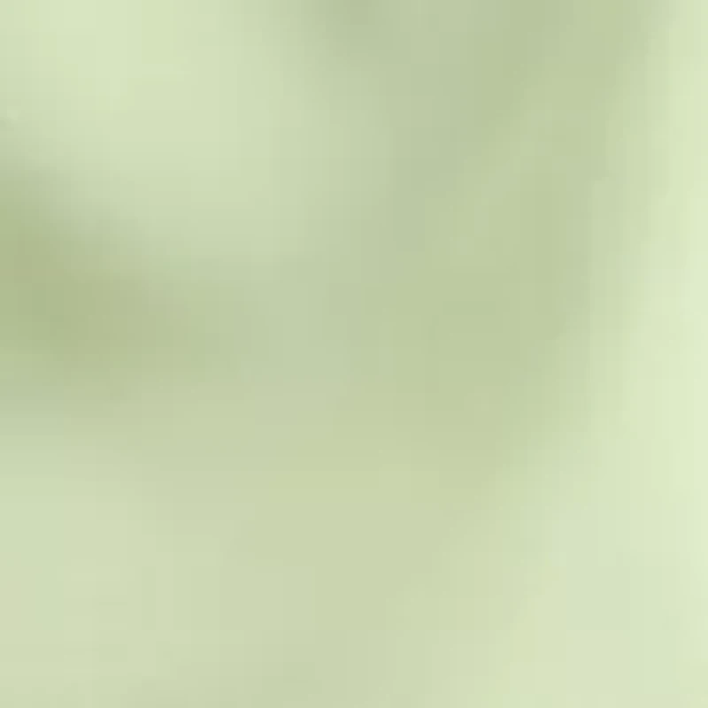 Girls 7-16 Woven Pacer Shorts