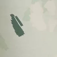 Girls 7-16 Ankle Length AOP 3S Floral Tights