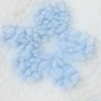 Girls 4-6x Blue Flowers Zip Through Jacket