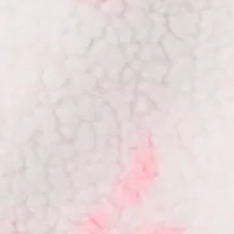 Girls 4-6x Bows Full Zip Jacket