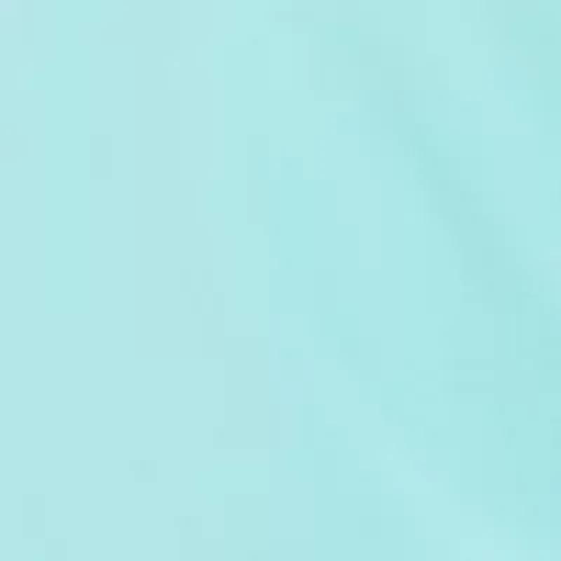 Girls 7-16 Boxy Cropped T-Shirt with Woven Cargo Shorts Set