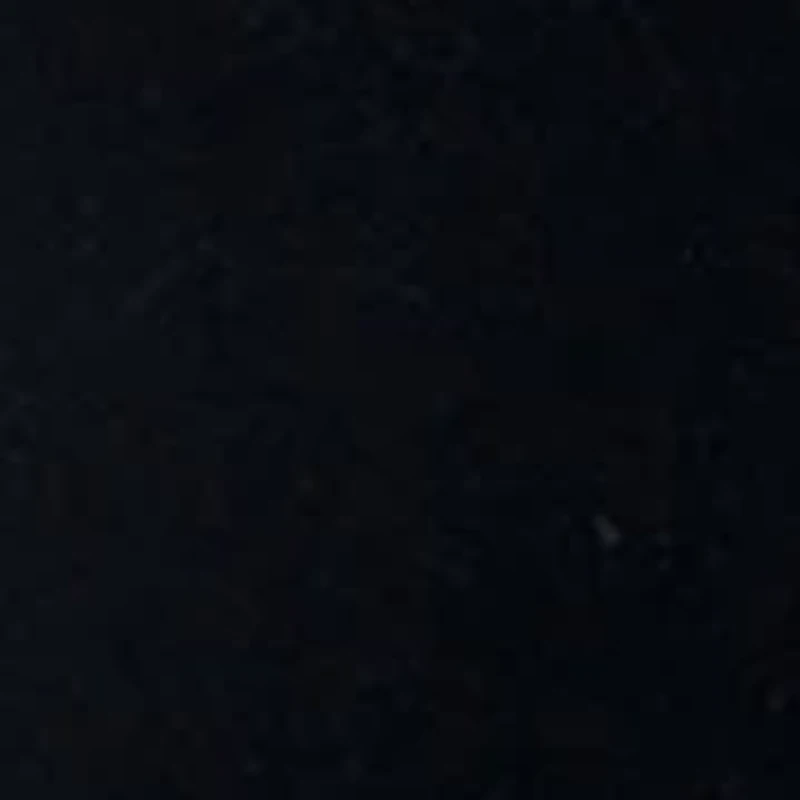 Girls 7-16 Long Sleeve Square Neck Animal Top and Flared Velvet Legging Set