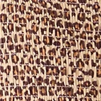 Girls 7-16 Leopard Print Smocked Dress