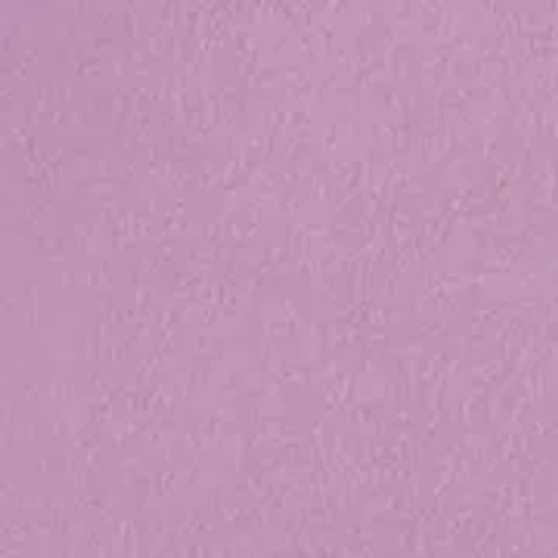 lily embroidered pullover hoodie