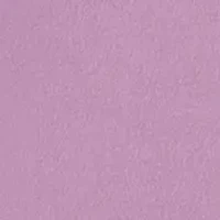 lily embroidered pullover hoodie