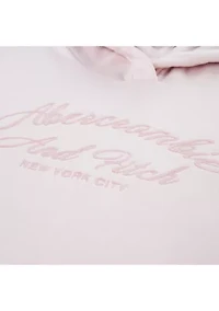 logo pullover hoodie