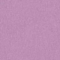 floral scripted short sleeve ruched t-shirt