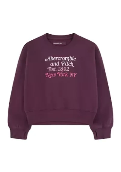 multicolor logo crewneck pullover