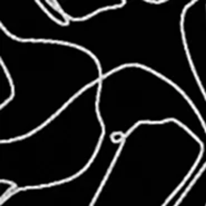 Boys 8-20 7'' Swim Trunks