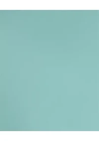 Boys 8-20 Long Sleeve Stretch Solid Poplin Shirt & Tie