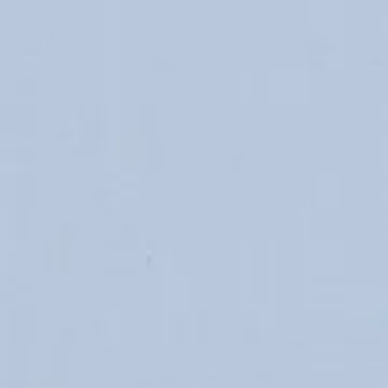 Boys 8-20 Button Down Shirt and Bowtie