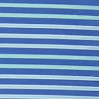 Boys 8-20 Multistripe Polo Shirt