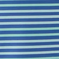 Boys 8-20 Multi-Stripe Polo Shirt