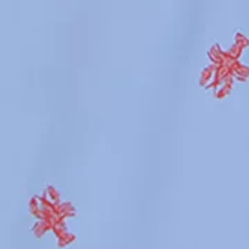 Boys 4-7 Short Sleeve Polo Shirt and Lobster Printed Shorts Set