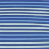 Boys 4-7 Multi Stripe Polo Shirt and Shorts Set