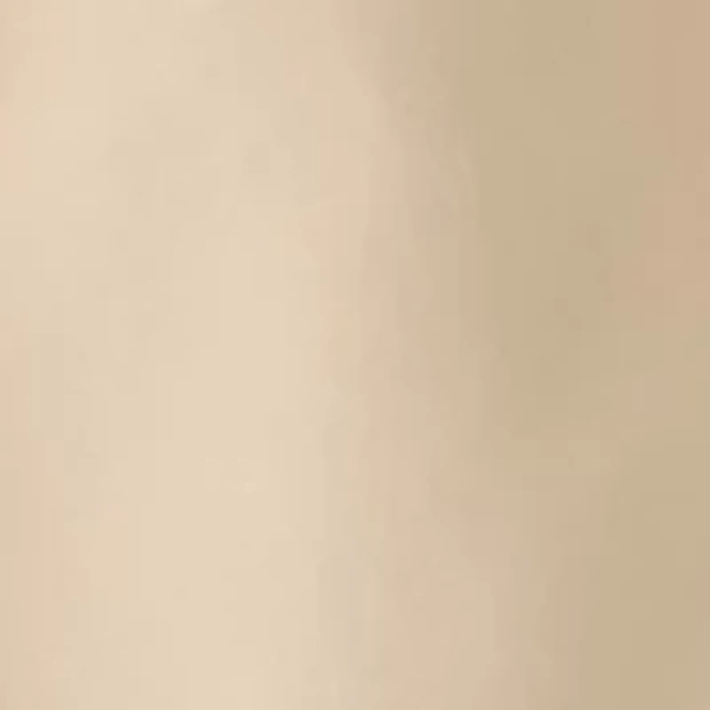 Boys 8-20 Flat Front Solid Stretch Performance Shorts