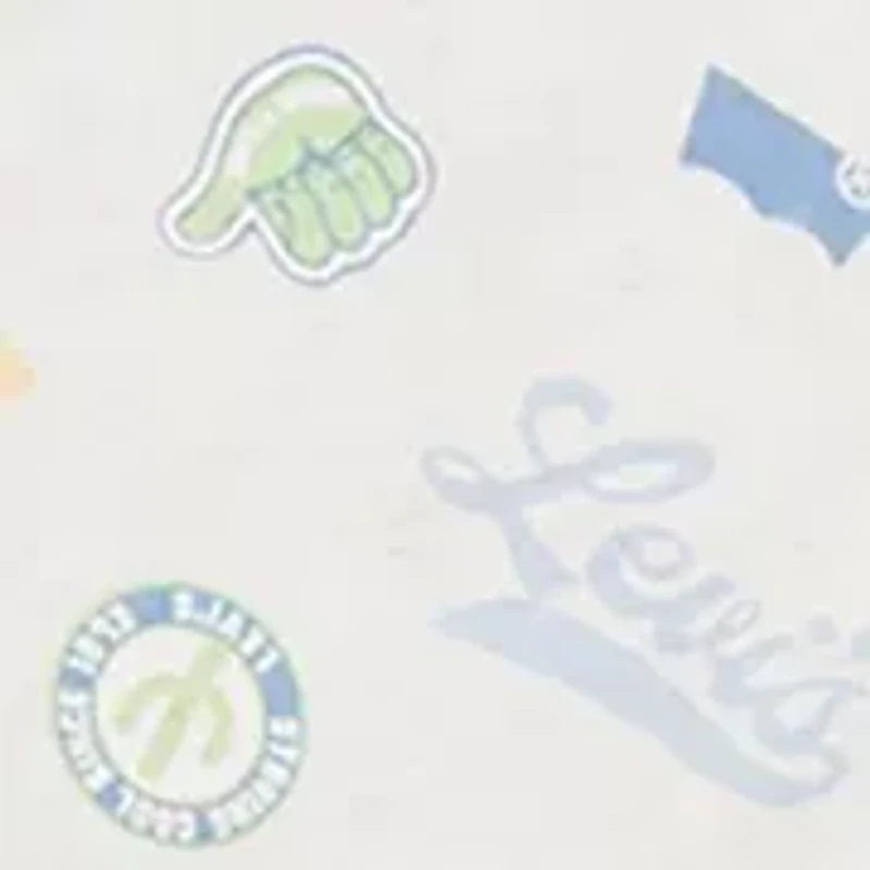 Boys 4-7 Printed Badges T-Shirt and Shorts Set