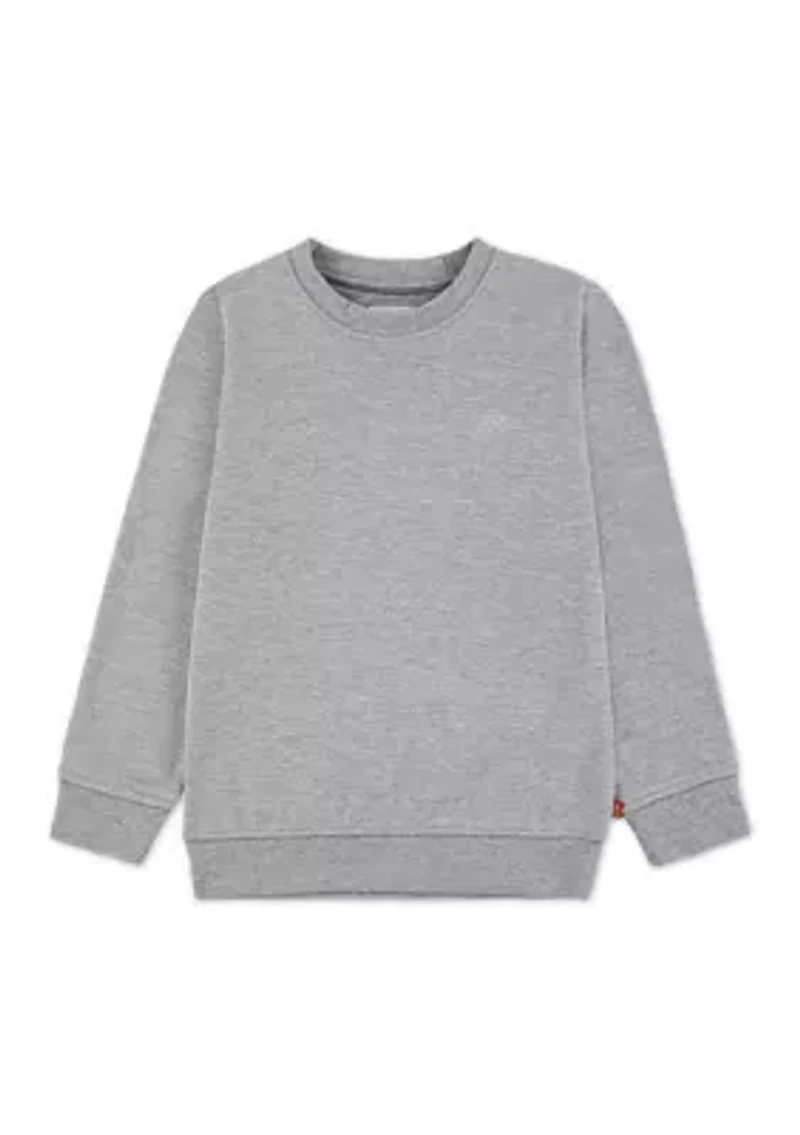 Boys 4-7 Microbrand Crew Neck Sweatshirt