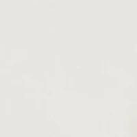 Boys 4-7 American Muscle Graphic T-Shirt