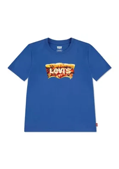 Boys 4-7 Batwing Slice Graphic T-Shirt