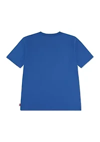 Boys 4-7 Batwing Slice Graphic T-Shirt