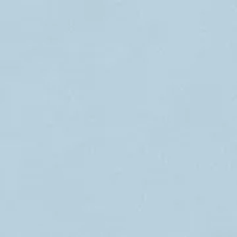 Boys 8-20 Surfing Daschund Graphic T-Shirt