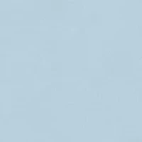 Boys 8-20 Surfing Daschund Graphic T-Shirt