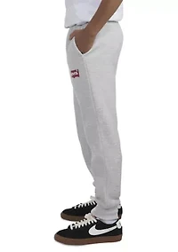 Boys 8-20 Batwing Joggers