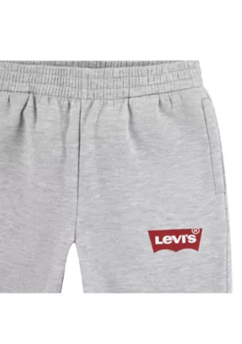 Boys 8-20 Batwing Joggers