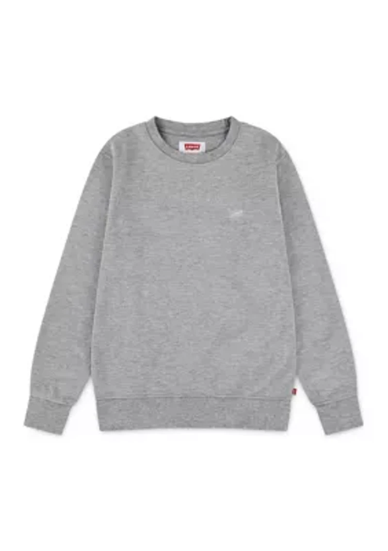 Boys 8-20 Microbrand Crew Neck Sweatshirt