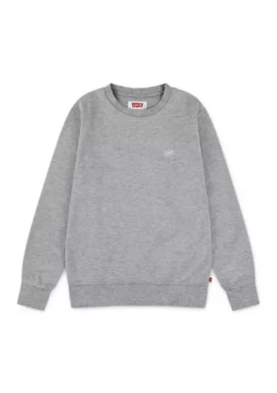 Boys 8-20 Microbrand Crew Neck Sweatshirt