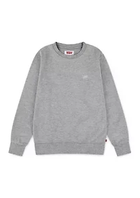 Boys 8-20 Microbrand Crew Neck Sweatshirt
