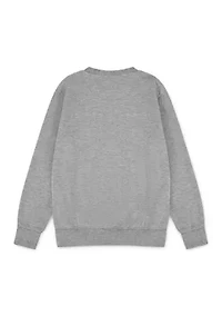 Boys 8-20 Microbrand Crew Neck Sweatshirt