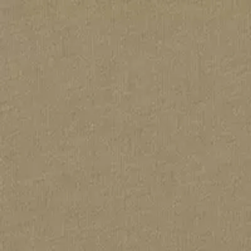 Boys 8-20 Quiet Western Graphic T-Shirt