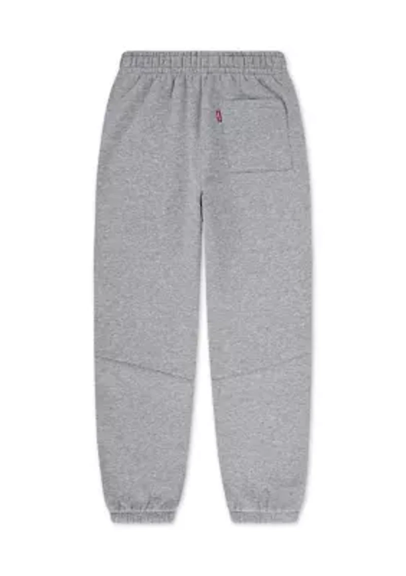 Boys 8-20 3D Levi Joggers
