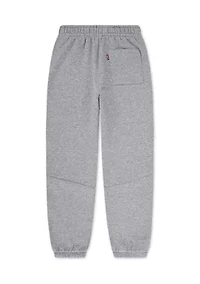 Boys 8-20 3D Levi Joggers