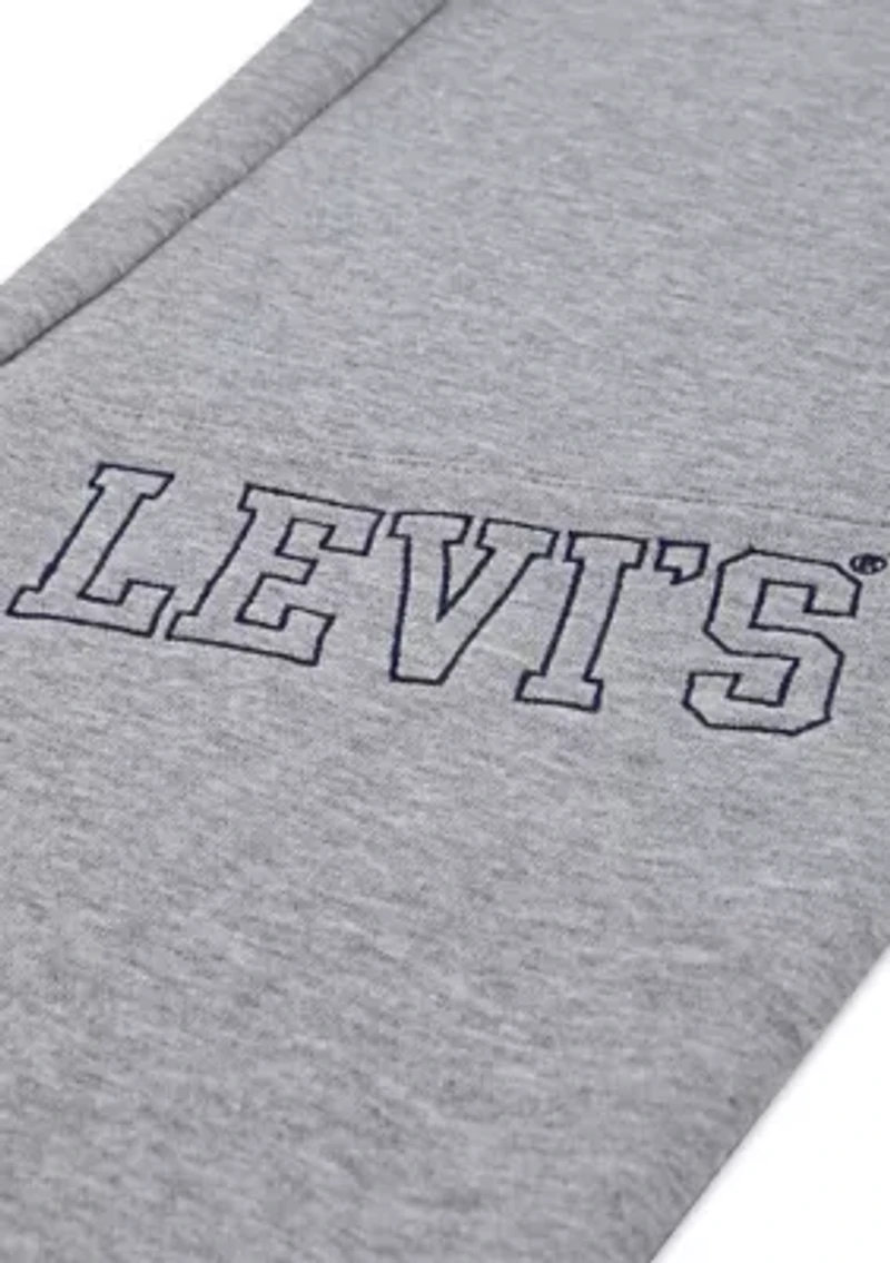 Boys 8-20 3D Levi Joggers