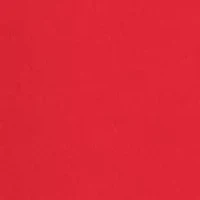 Boys 4-7 Fleece Logo Hoodie