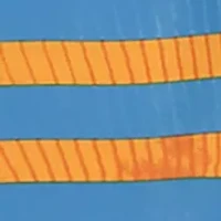 Boys 8-20 Ripple Stripe Shorts