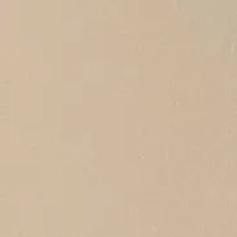 Boys 8-20 Standard Shorts