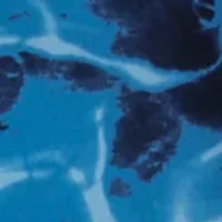 Boys 8-20 Compression Volley Shorts