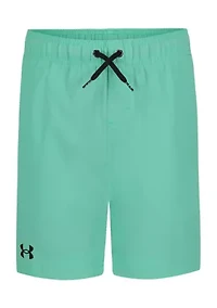 Boys 8-20 Printed Board Shorts