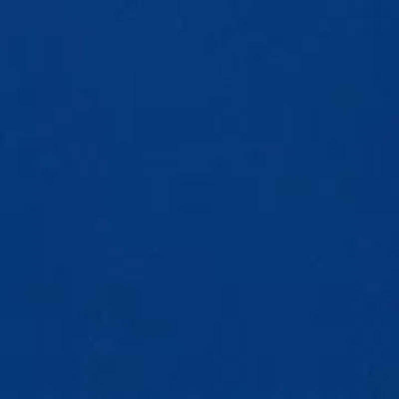 Boys 4-7 Frogskin Camo Swim Set