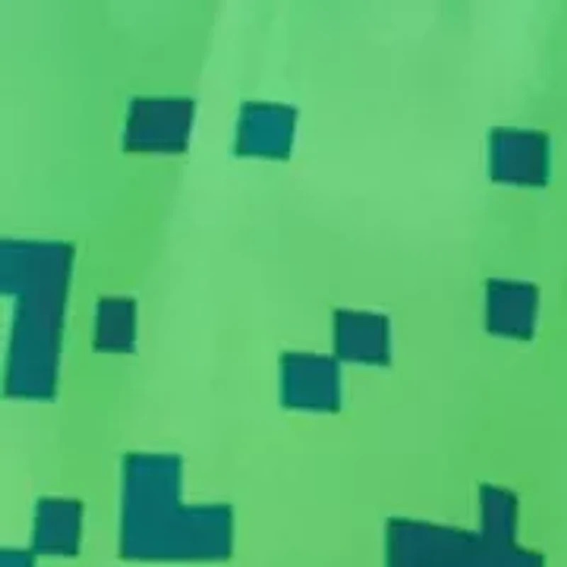 Boys 8-20  Gamer Volley Active Shorts